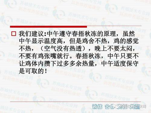 养鸡教学视频,从新手到专家的养殖技巧全解析