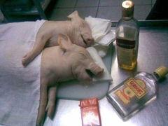 女主播内裤内衣视频,内裤内衣细节引发热议