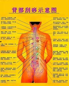 肩颈刮痧视频教程,轻松缓解疲劳,焕发活力