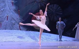 糖果仙子之舞视频,梦幻旋律中的奇幻之旅