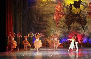 糖果仙子之舞视频,梦幻旋律中的奇幻之旅