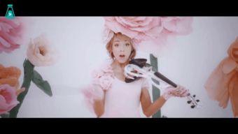 糖果仙子之舞视频,梦幻旋律中的奇幻之旅