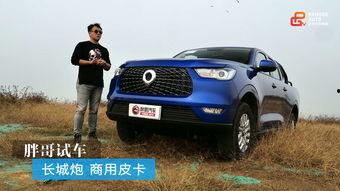 卡罗拉试驾视频胖哥,体验动感与舒适的完美融合