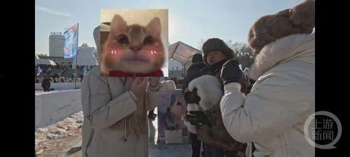 雪狐视频